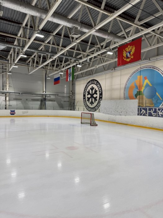 Тренировочный модуль Хоккейной школы имени Тарасенко А.В. г. Новосибирск 