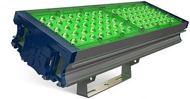 TL-PROM 100 PR Plus FL (Д) Green