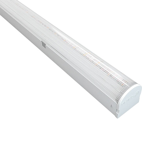 GALAD Маркет ПРО LED-55/П/Д/3000/5