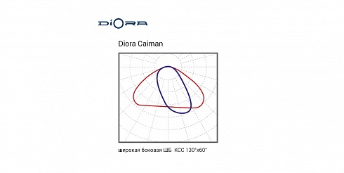 Diora Caiman 40/6000 ШБ 5K консоль