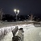 Придомовая территория ЖК Зоркий г.Новосибирск