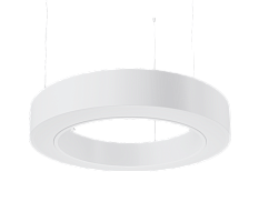 ДСО32-60-101 Ring 840