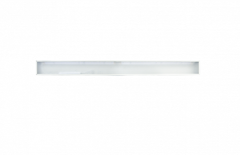 Diora Plank 19/1900 prism 4K