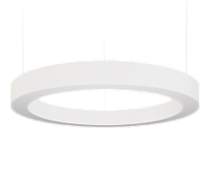 ДСО32-80-201 Ring 840