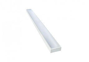 Diora Plank 19/1900 prism 4K